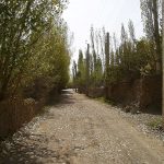 خودروبر و امداد خودرو عنبران